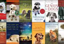 The 13 Most Inspiring Books For Hugs Dog Lovers