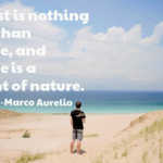 the-lost-is-nothing-more-than-change-and-change-is-a-delight-of-nature